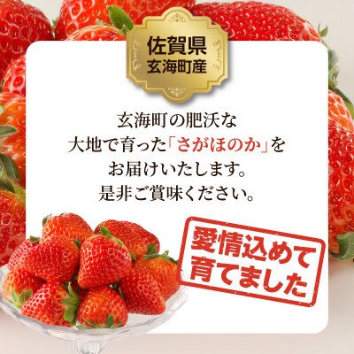【予約受付】佐賀県玄海町産「さがほのか」1箱(2パック)【D016】