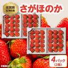 【予約受付】佐賀県玄海町産「さがほのかDX」2箱(4パック)【D017】