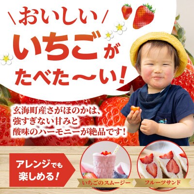 【予約受付】佐賀県玄海町産「さがほのかDX」2箱(4パック)【D017】