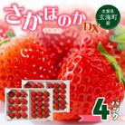 【予約受付】佐賀県玄海町産「さがほのかDX」2箱【B159】