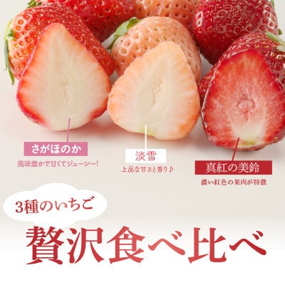 ★予約受付★豪華!3色いちご食べ比べセット【C030】