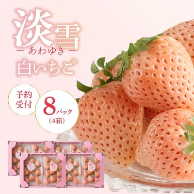 【予約受付】白いちご「淡雪(あわゆき)超DX」4箱【D035】