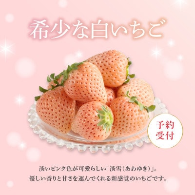 【予約受付】白いちご「淡雪(あわゆき)超DX」4箱【D035】