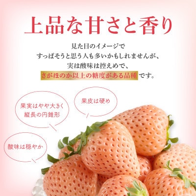 【予約受付】白いちご「淡雪(あわゆき)超DX」4箱【D035】