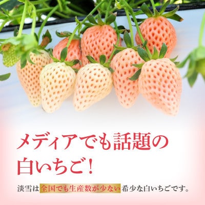 【予約受付】白いちご「淡雪(あわゆき)超DX」4箱【D035】