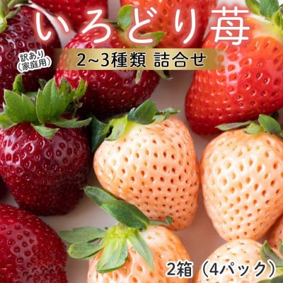 【予約受付】杉山いちご農園 玄海町産いろどり いちご 詰め合わせ 2箱(家庭用・訳あり)【B190】