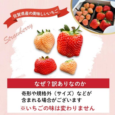 【予約受付】杉山いちご農園 玄海町産いろどり いちご 詰め合わせ 2箱(家庭用・訳あり)【B190】