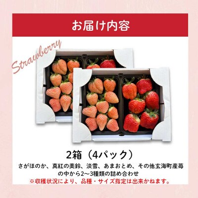 【予約受付】杉山いちご農園 玄海町産いろどり いちご 詰め合わせ 2箱(家庭用・訳あり)【B190】