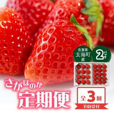 【発送月固定定期便】杉山いちご農園 佐賀県玄海町産「さがほのか」1箱(2パック)【Z111】全3回