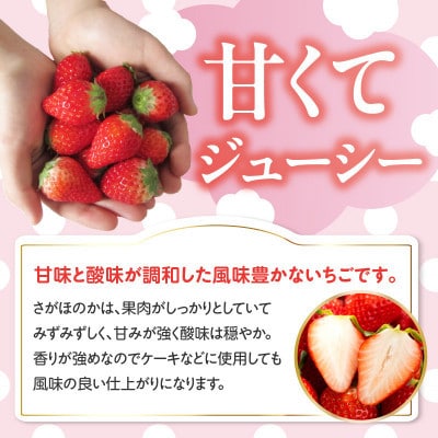 【発送月固定定期便】杉山いちご農園 佐賀県玄海町産「さがほのか」1箱(2パック)【Z111】全3回