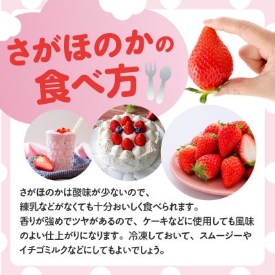 【発送月固定定期便】杉山いちご農園 佐賀県玄海町産「さがほのか」1箱(2パック)【Z111】全3回