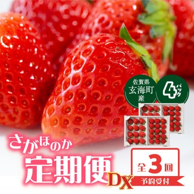 【発送月固定定期便】杉山いちご農園 佐賀県玄海町産「さがほのかDX」2箱(4パック)Z112全3回