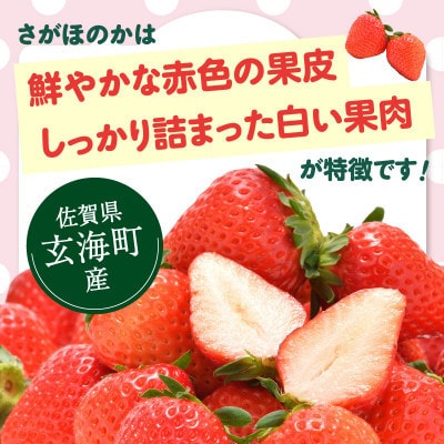 【発送月固定定期便】杉山いちご農園 佐賀県玄海町産「さがほのかDX」2箱(4パック)Z112全3回