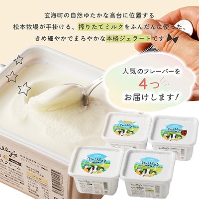 【松本牧場】本格ジェラートファミリーセット 500ml×4個【B111】