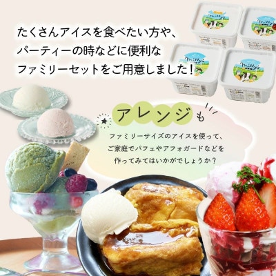 【毎月定期便】松本牧場アイス 本格ジェラートファミリーセット500ml×4個【Z064】全2回