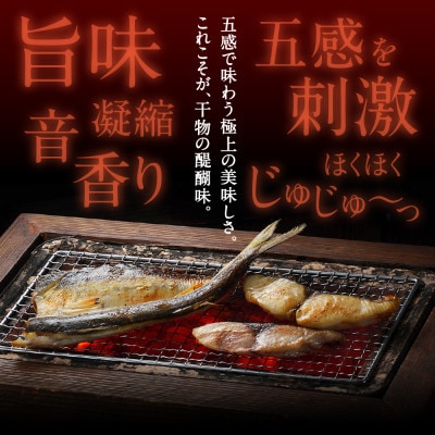 【旨味凝縮】元漁師が手掛ける厳選干物玄界灘の贅沢干物 6種セット【A071】