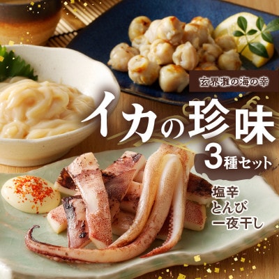 イカの珍味 3種セット【A153】
