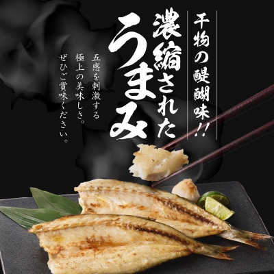 【おまかせセット】元漁師が手掛ける厳選干物玄界灘の恵 8種セット【B006】