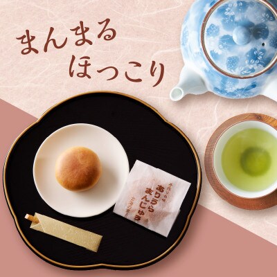 前川菓子屋のありうらまんじゅう(20個入り)【B148】