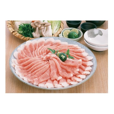 【2ヵ月毎定期便】鹿児島県産豚ローススライス(計2kg・500g×4P)(伊佐市)全3回