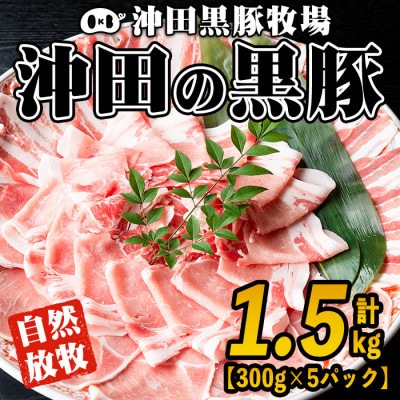 鹿児島県産!贅沢な黒・沖田の黒豚(計1.5kg・ロース、肩ロース、バラ、モモ、ウデいずれか5パック)