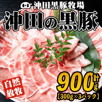 鹿児島県産!幻の黒・沖田の黒豚(計900g・ロース、肩ロース、バラ、モモ、ウデいずれか3パック)