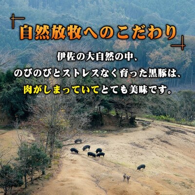 鹿児島県産!幻の黒・沖田の黒豚(計900g・ロース、肩ロース、バラ、モモ、ウデいずれか3パック)