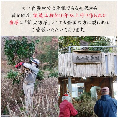 【毎月定期便】食養番茶《薪火寒茶》(計920g・230g×4袋)全6回