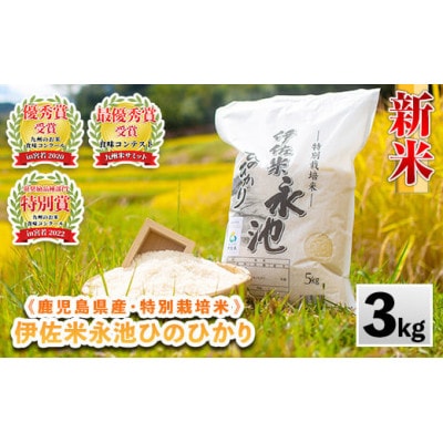 令和6年産 特別栽培米 伊佐米永池ひのひかり(3kg)