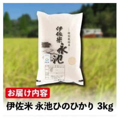 令和6年産 特別栽培米 伊佐米永池ひのひかり(3kg)