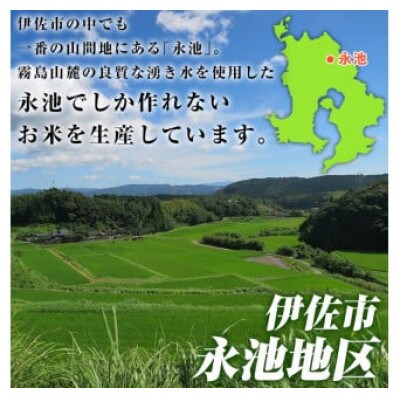 令和6年産 特別栽培米 永池ひのひかり(計10kg・5kg×2袋)