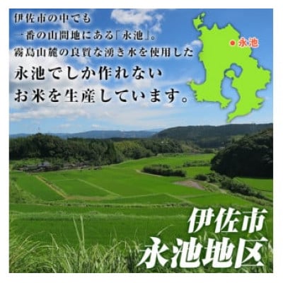 令和6年産 特別栽培米 永池ひのひかり(計20kg・5kg×4袋)