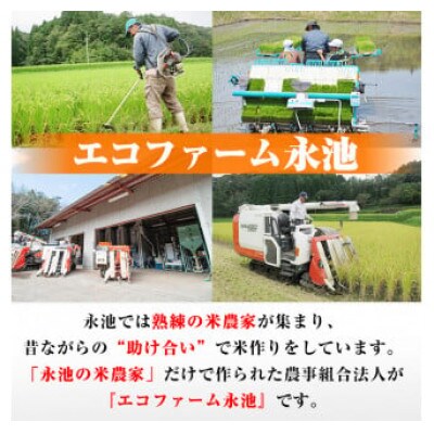 令和6年産 特別栽培米 永池ひのひかり(計20kg・5kg×4袋)