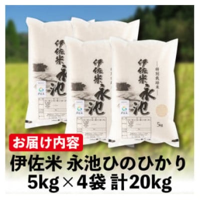 令和6年産 特別栽培米 永池ひのひかり(計20kg・5kg×4袋)