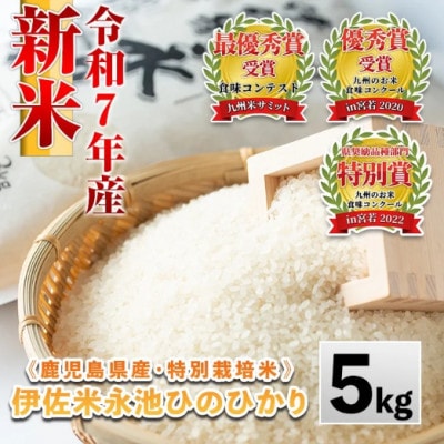 令和7年産 新米 特別栽培米 伊佐米永池ひのひかり(5kg) Z7-01