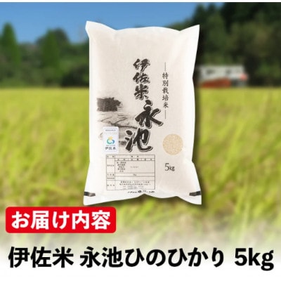 令和7年産 新米 特別栽培米 伊佐米永池ひのひかり(5kg) Z7-01