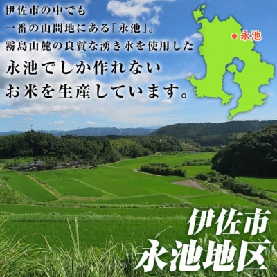 令和7年産 新米 特別栽培米 伊佐米永池ひのひかり(3kg) Z5-10