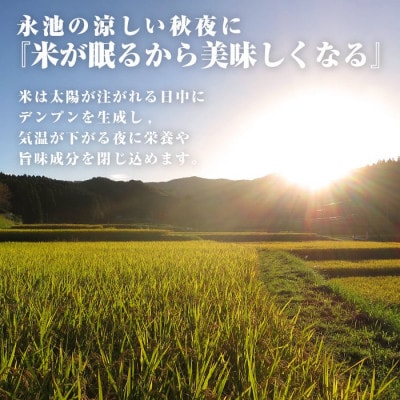 令和7年産 新米 特別栽培米 伊佐米永池ひのひかり(3kg) Z5-10