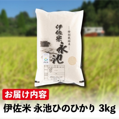 令和8年産 特別栽培米 伊佐米永池ひのひかり(3kg) Z5-10