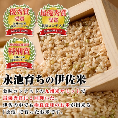 令和8年産 特別栽培米 伊佐米永池ひのひかり(3kg) (玄米)isa535