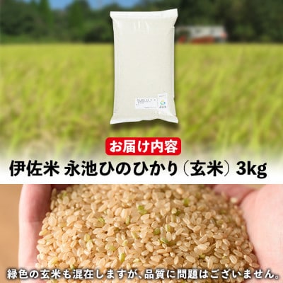 令和8年産 特別栽培米 伊佐米永池ひのひかり(3kg) (玄米)isa535