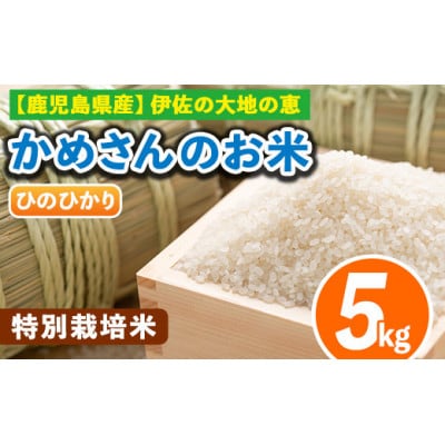 かめさんのお米(5kg・ひのひかり・精米)
