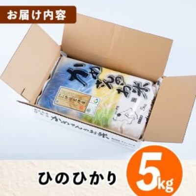 かめさんのお米(5kg・ひのひかり・精米)