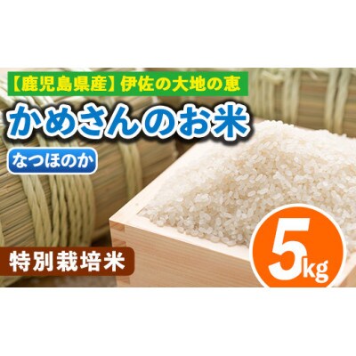 かめさんのお米(5kg・なつほのか・精米)
