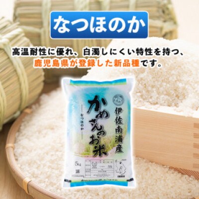 かめさんのお米(5kg・なつほのか・精米)