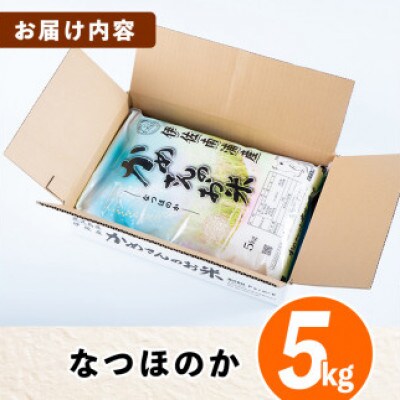 かめさんのお米(5kg・なつほのか・精米)