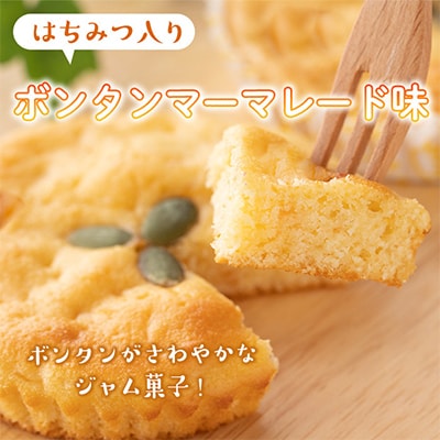 ジャム菓子3種(ブルーベリー味5個、ボンタン味5個・かぼちゃ味5個・計15個)