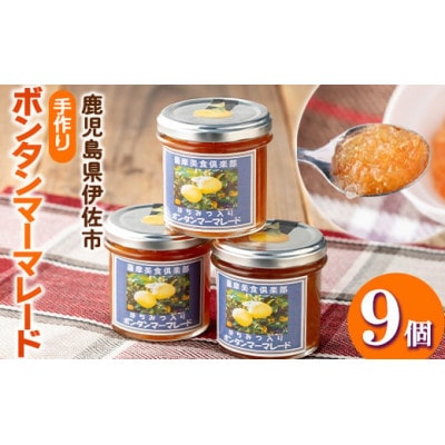【数量限定】手作りはちみつ入りボンタンマーマレード(計9個・各140g)