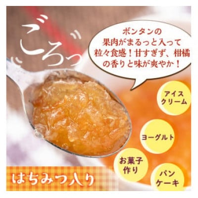 【数量限定】手作りはちみつ入りボンタンマーマレード(計9個・各140g)