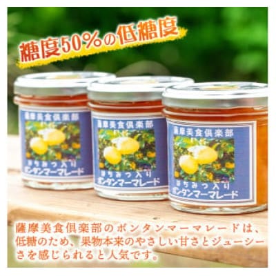 【数量限定】手作りはちみつ入りボンタンマーマレード(計9個・各140g)